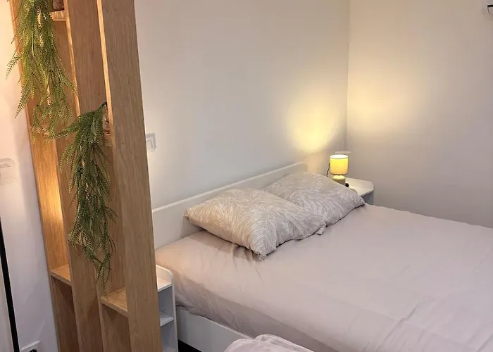 Apartman Cosy Toulon